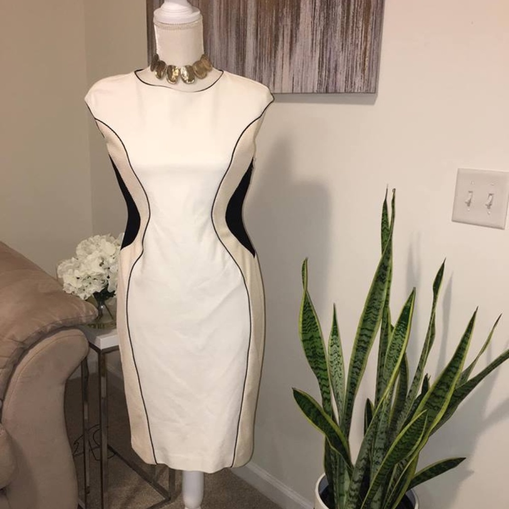 Ann taylor petite dress size 4P